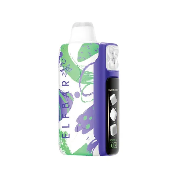 Buy Elf Bar Sweet King 30K -miami Mint 30000 Puffs online in Ahmedabad - Vape Shop Ahmedabad