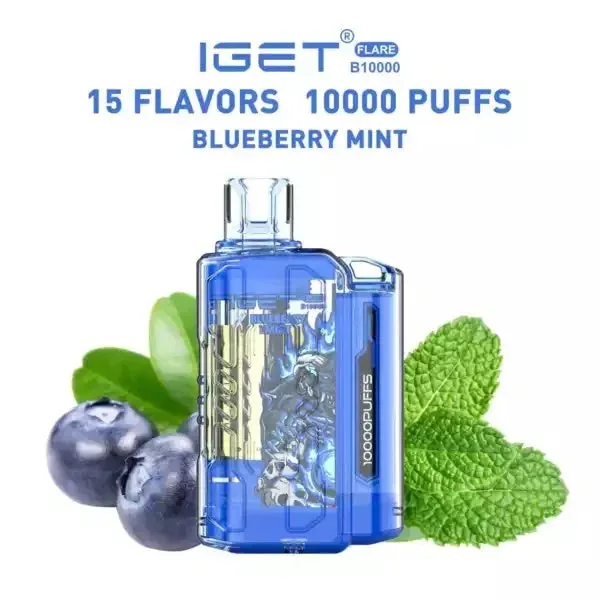 Buy Iget Flare B10000 – Blueberry Mint online in Ahmedabad - Vape Shop Ahmedabad