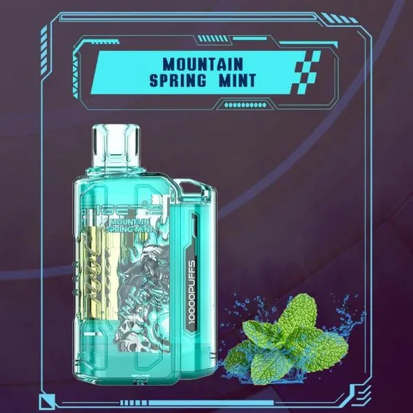 Buy Iget Flare B10000 – Mountain Spring Mint online in Ahmedabad - Vape Shop Ahmedabad